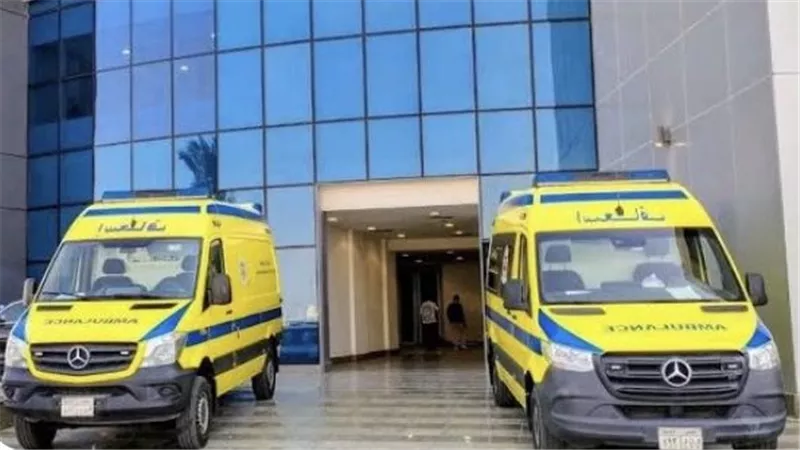 إصابة أب ونجله في مشاجرة بالأسلحة البيضاء في الدقهلية