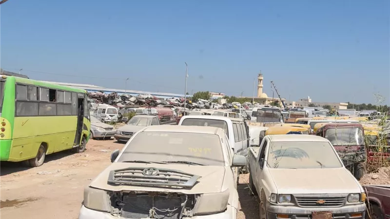 محافظة الإسكندرية تطرح 4 مزايدات ومناقصة عامة خلال أغسطس وسبتمبر.. تعرف عليها