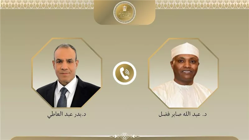 وزيرا خارجية مصر وتشاد يشددان على وحدة السودان وسيادته 