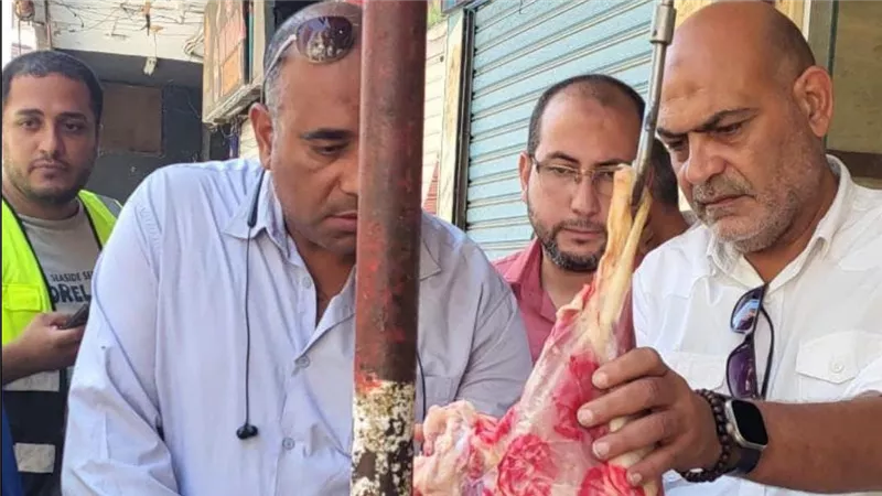 «صحة المواطن خط أحمر» ضبط ٧٧٠ كيلو من العجول واللحوم والأحشاء المخالفة بالعبور