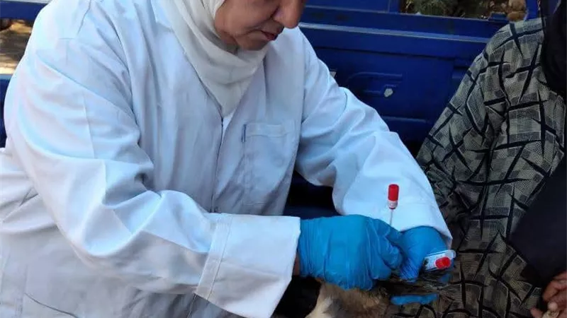 خوفًا من الأمراض.. الطب البيطري بالسويس يراقب الطيور بقرية يوسف السباعي