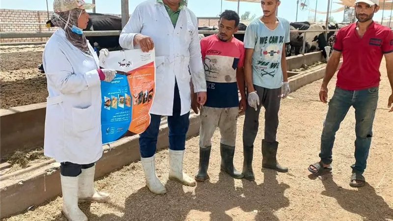 للحفاظ على الثروة الحيوانية.. بيطري السويس ينفذ حملة فحص وتحصين بقرية عامر