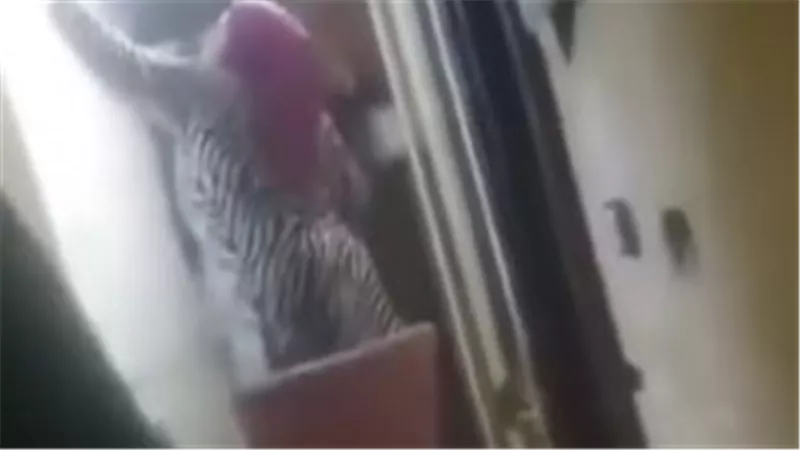  «بتقطّع النت عن الجيران فوقعت على الأرض».. فيديو صادم لسيدة تتجاهل تحذيرات الناس