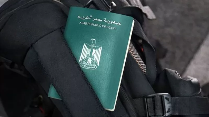توكيل الولاية التعليمية.. الأوراق المطلوبة للمصريين المقيمين في الإمارات
