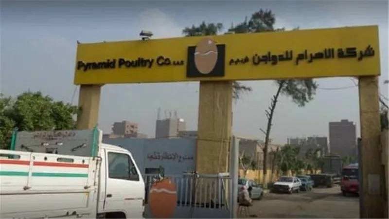 الأهرام للدواجن تكشف تفاصيل واقعة الاستيلاء على حمولة سيارة نقل مبرد