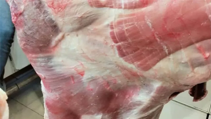 حملة بيطرية في دمياط تضبط لحوم مذبوحة خارج المجازر الحكومية بمدينة فارسكور