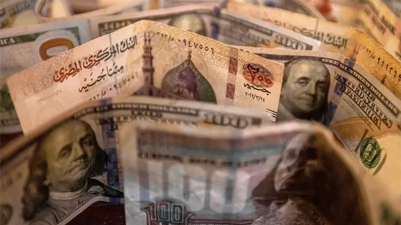 أرباح البنوك المدرجة تقفز 20% في النصف الأول بدعم الفائدة والقروض