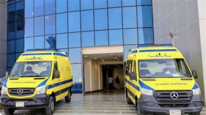 اصابة سيدة وطفلة اثر انقلاب عربة كاروا فى قرية اتميدة بالدقهلية