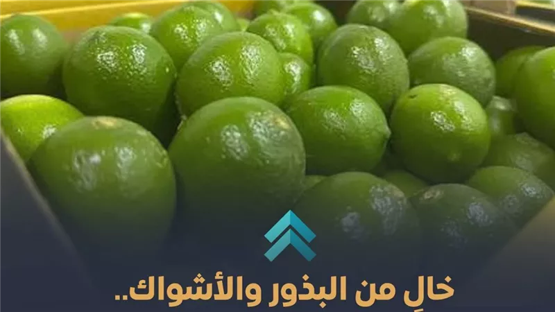 الزراعة تعلن تسجيل صنف 
