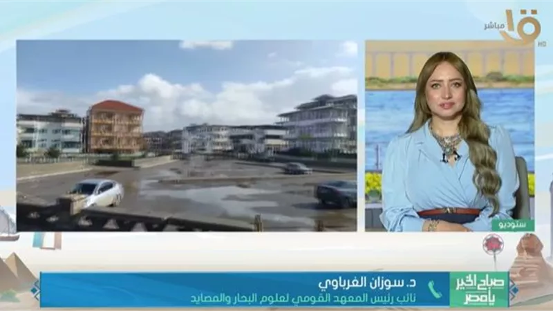 هل يضرب تسونامي رأس البر؟ «علوم البحار» تكشف الحقيقة