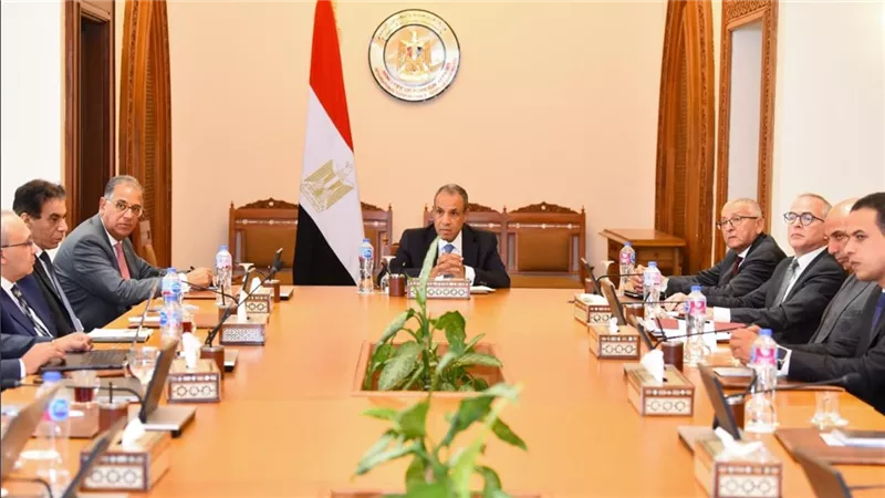 وزير الخارجية يوجه بسرعة استكمال منصة الخدمات القنصلية للمصريين بالخارج