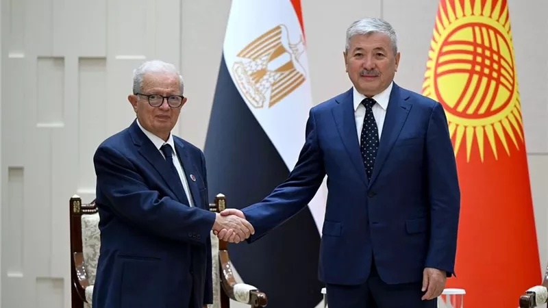 نائب رئيس الوزراء للشؤون الاقتصادية يلتقي رئيس الوزراء القيرغيزي في 