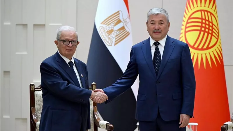 نائب رئيس الوزراء للشؤون الاقتصادية يلتقي رئيس وزراء قيرغيزستان في «بيشكيك»