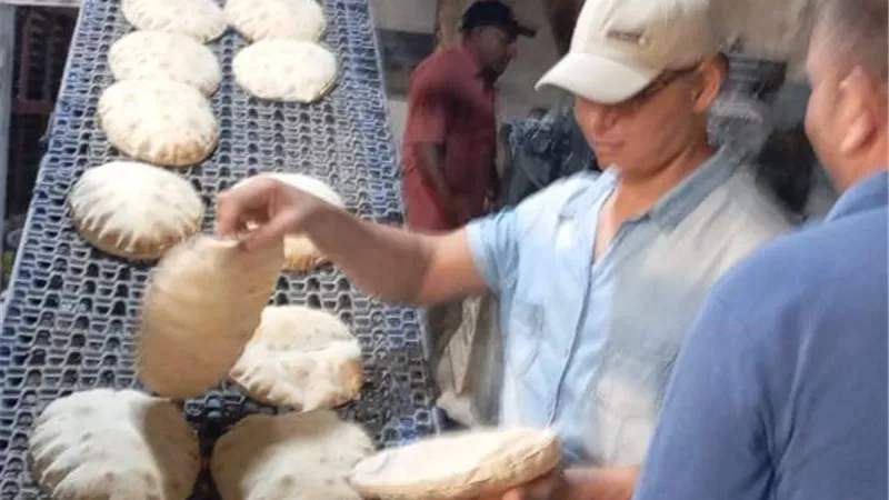 محافظ الغربية يوجه بتكثيف الحملات الرقابية على المخابز.. ضبط 562 بطاقة تموينية
