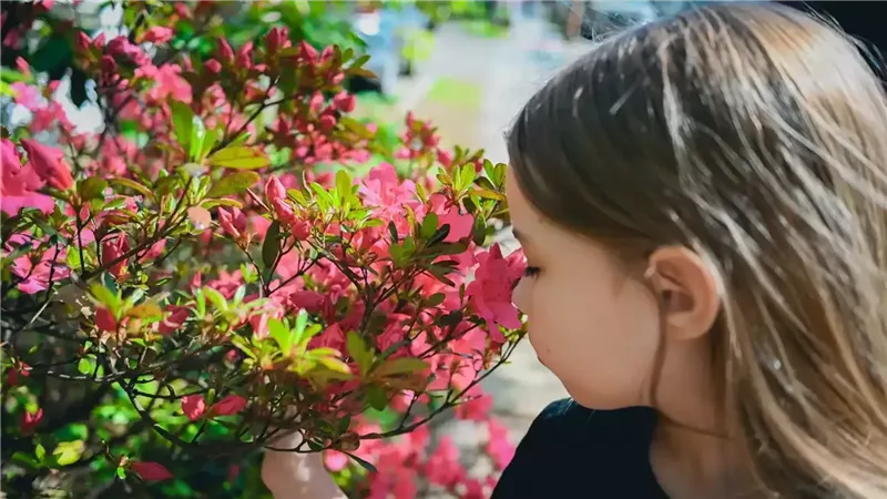 هل تساعد حاسة الشم على تحسين الصحة النفسية للأطفال؟ 