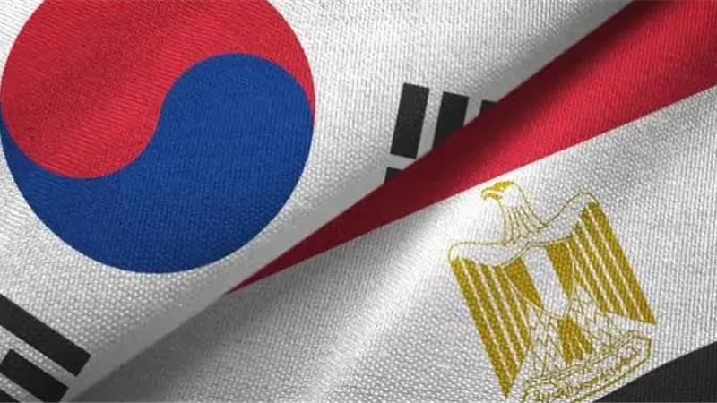 صادرات الصناعات الغذائية المصرية إلى كوريا الجنوبية تقفز 126% خلال 7 أشهر
