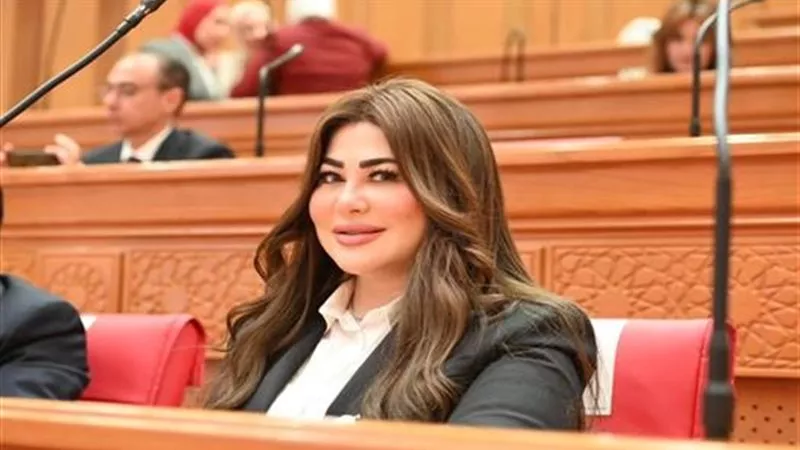 ولاء الصبان: القمة المصرية الصينية تعكس ثقل القاهرة المحوري بالمنطقة