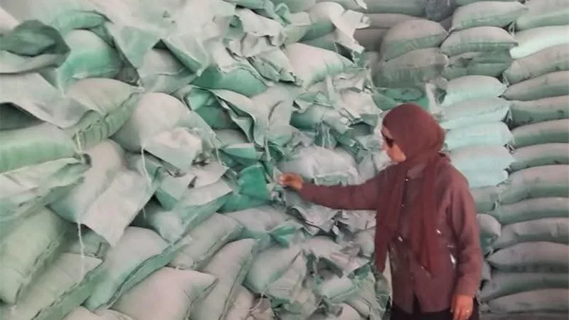 ضبط 500 كيلو أسماك مستوردة غير صالحة للاستهلاك الآدمي و1000 لتر سولار بالبحيرة
