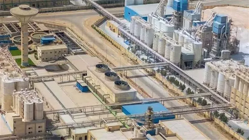 باحث صيني: مصر مركز تصنيعي واعد ومنصة للشركات الصينية للتصدير عالميا