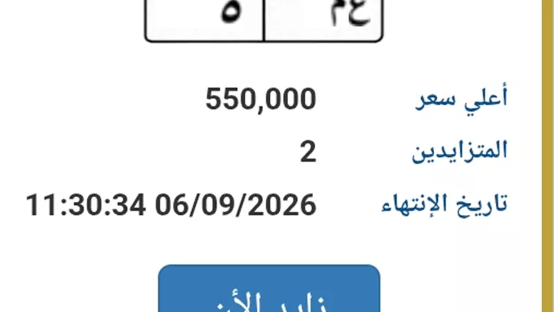 550 ألف جنيه.. «ع م 5» تتصدر مزاد اللوحات المرورية المميزة