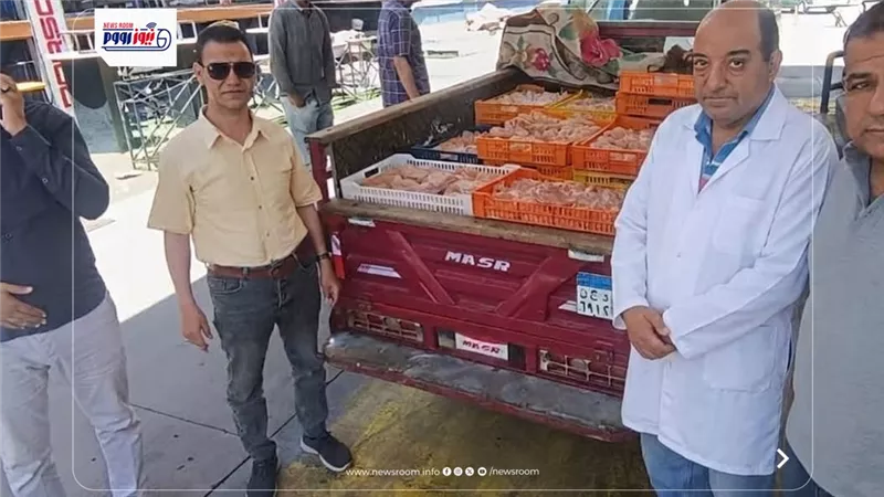 ضبط 6886 كيلو لحوم غير صالحة للاستهلاك الآدمي وتحرير المحاضر اللازمة بشأنها