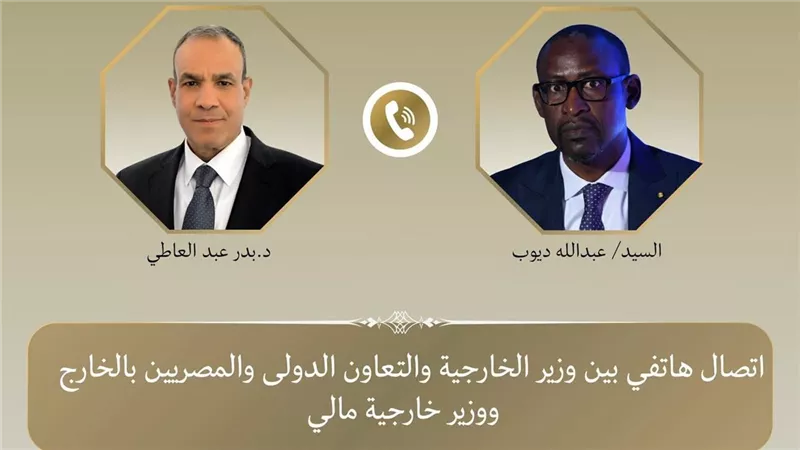 وزير الخارجية يبحث مع نظيره المالي تعزيز العلاقات ومكافحة الإرهاب في الساحل