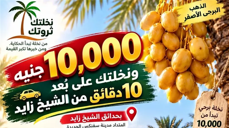 «أفرولاند» تطلق «نخلتك ثروتك».. امتلاك نخلة برحي يبدأ من 10 آلاف جنيه