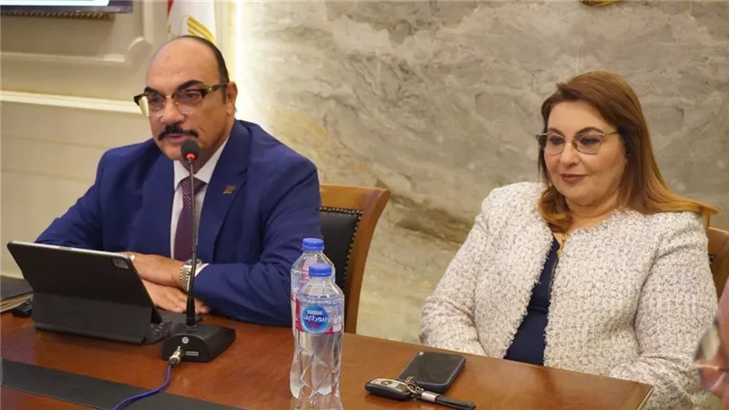 رضا فرحات: عودة المجالس المحلية ضرورة لإنهاء الفراغ السياسي المحلي