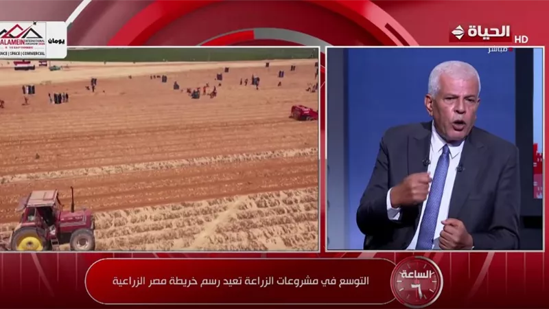 سيد خليفة: المشروعات الزراعية الجديدة تتجاوز زيادة الإنتاج وتدعم فرص العمل