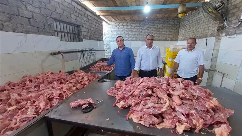 ضبط 7 أطنان مخلفات دواجن قبل تحويلها إلى برجر ولانشون بالجيزة