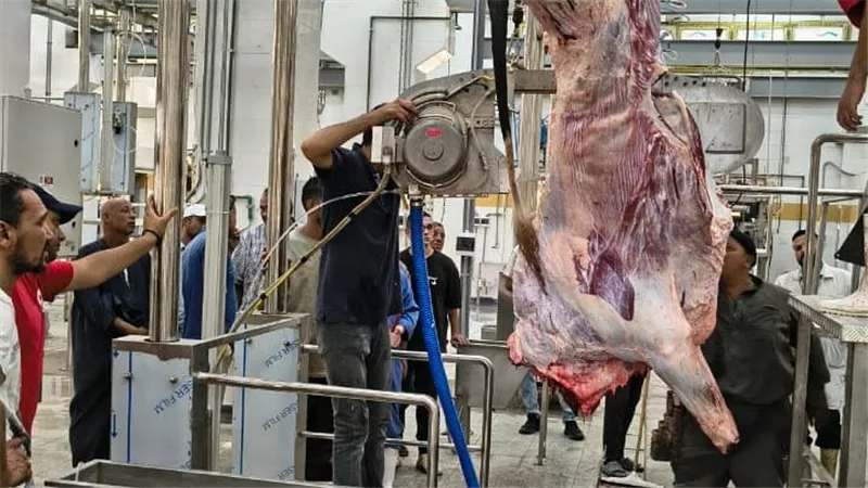  بتكلفة 60 مليون جنيه.. بدء التشغيل التجريبي لمجزر العزب بمحافظة الفيوم