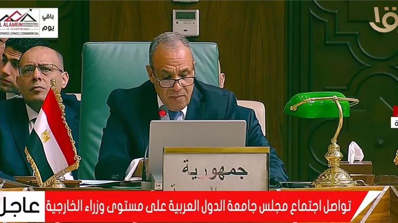 بدر عبد العاطي: لا دولة عربية تستطيع مواجهة التهديدات بمفردها