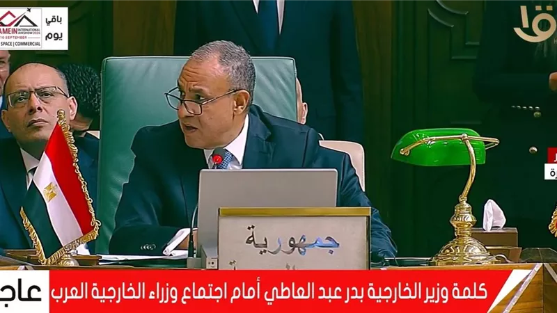 بدر عبد العاطي: القضية الفلسطينية جوهر الأمن والاستقرار في المنطقة
