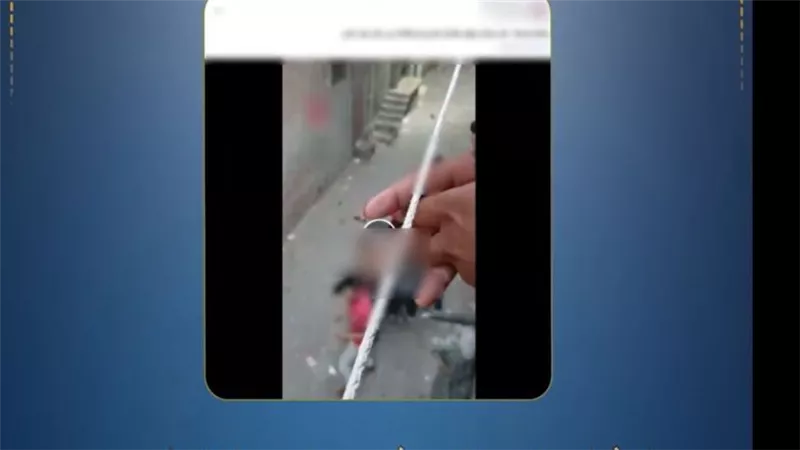 ضبط طرفي مشاجرة بالأسلحة البيضاء بسبب خلافات الجيرة في البحيرة