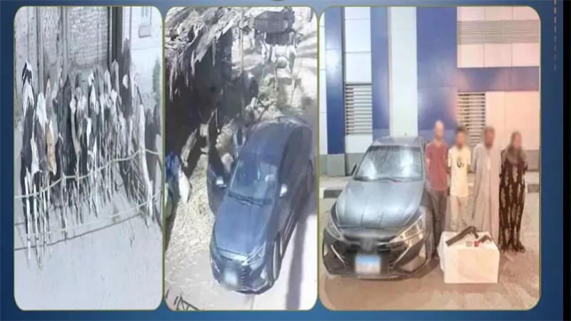 «سيدة أجنبية» ضمن المتهمين.. تفاصيل سقوط عصابة سرقة الماشية بالشرقية