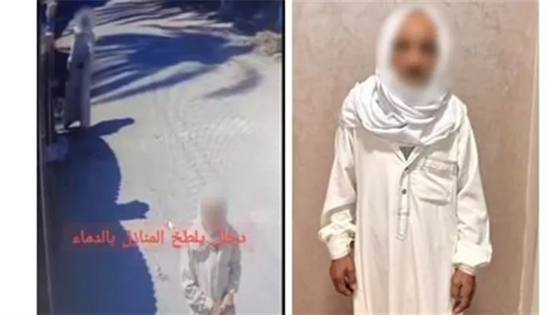 كشف حقيقة فيديو «رش الدماء» على منزل بالبحيرة.. وضبط شخص يعاني اضطرابا نفسيا