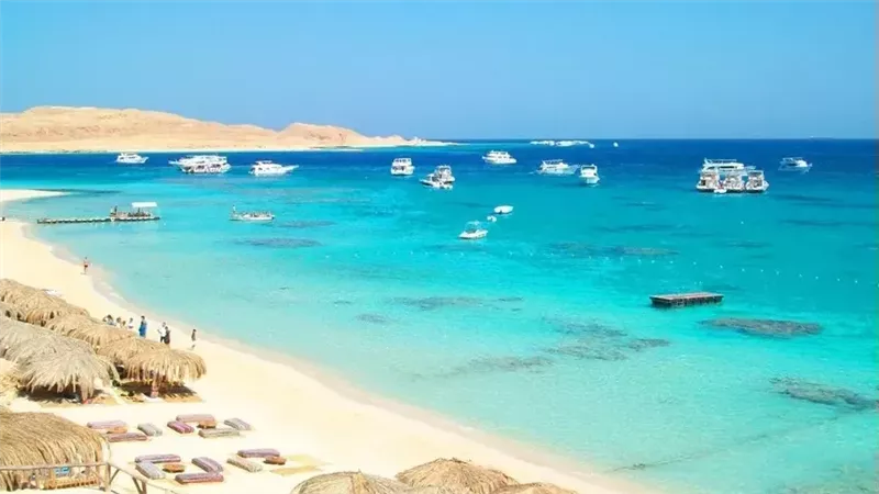 «ترافكو» المصرية تستهدف ضخ أكثر من نصف مليار دولار بالتوسع الفندقي في 2027