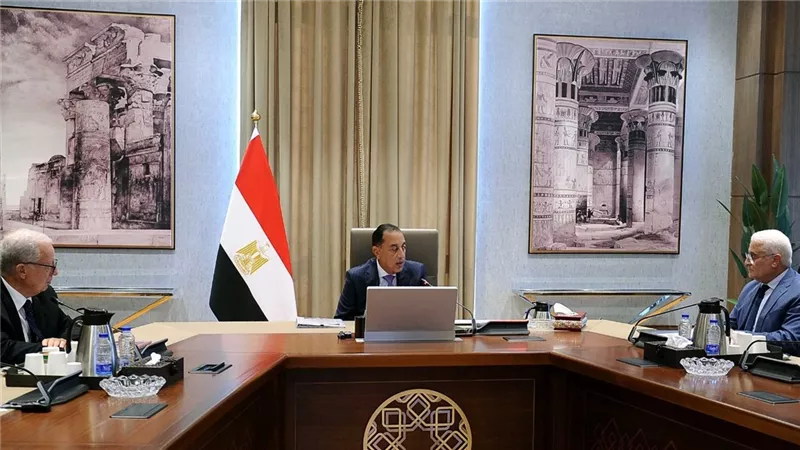 رئيس الوزراء يتابع تنفيذ تسوية المديونية وفض التشابكات المالية بين القابضة والتامين الإجتماعي 