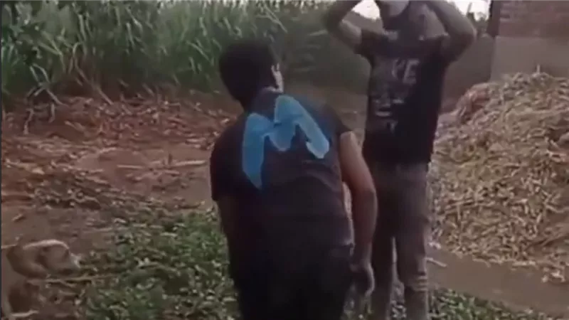 «خطفوه وربطوا رجليه وهددوه بكلب شرس».. فيديو صادم لشاب يثير الرعب لإجبار أسرته على دفع أموال