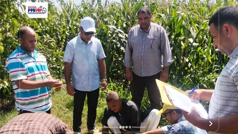 إزالة64 حالة تعد والتوسع في الزراعات الصيفية وتكثيف الإرشادودعم التحول الرقمي 