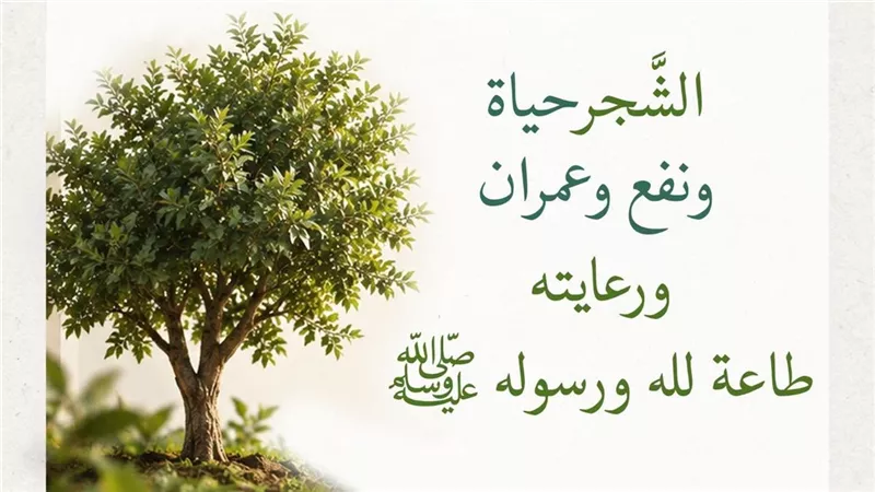 الأزهر للفتوى: اغرسها ولا تقطعها.. الشجر حياة ونفع وعمران