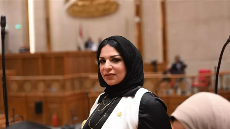 النائبة مروة حلاوة تتحرك لتقليل الإجراءات المتكررة وتيسير علاج مرضى التأمين الصحي