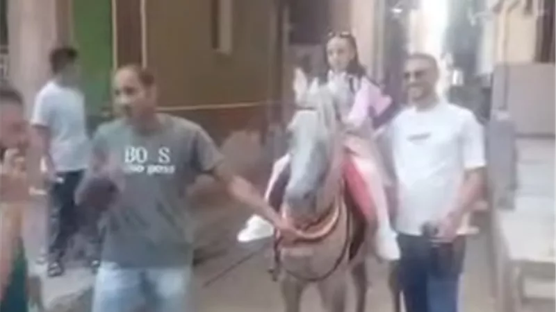 على ظهر حصان وبالطبل البلدي.. أب يزف ابنته للمدرسة بكفر الشيخ