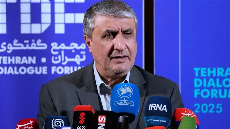 النمسا تمنع رئيس الطاقة الذرية الإيرانية من دخول أراضيها لحضور اجتماع الوكالة 