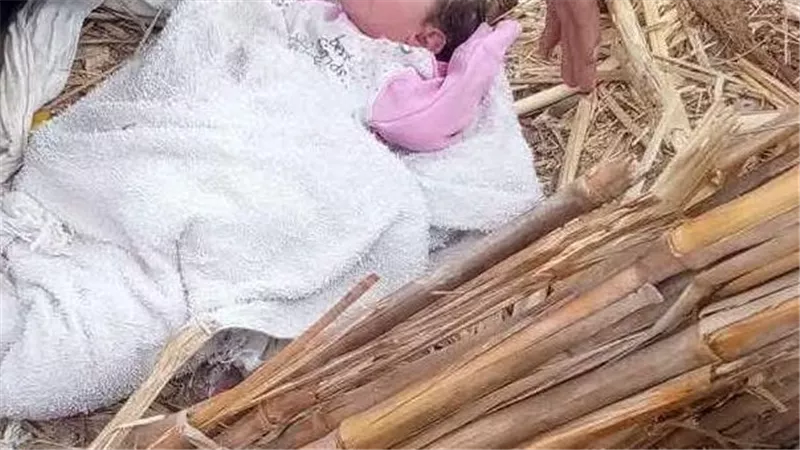 العثور علي صغيرة حديثة الولاده ملقاة وسط القمامه ابنوب باسيوط