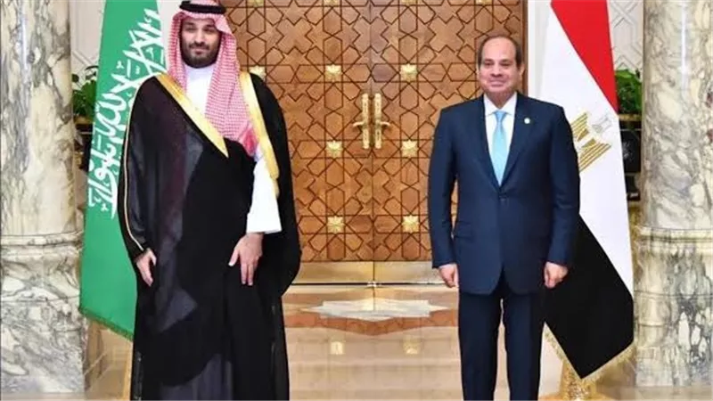 لميس الحديدي: العالم يترقب نتائج زيارة ولي العهد السعودي إلى القاهرة