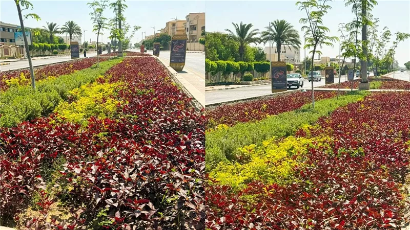الإسكان تستهدف زراعة 1.2 مليون شجرة بالمدن الجديدة خلال العام الحالي
