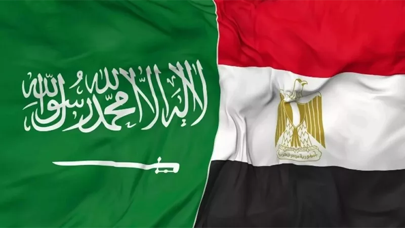 أستاذ تخطيط بجامعة جدة: التكامل المصري السعودي يمثل حصنًا أمام محاولات الهيمنة