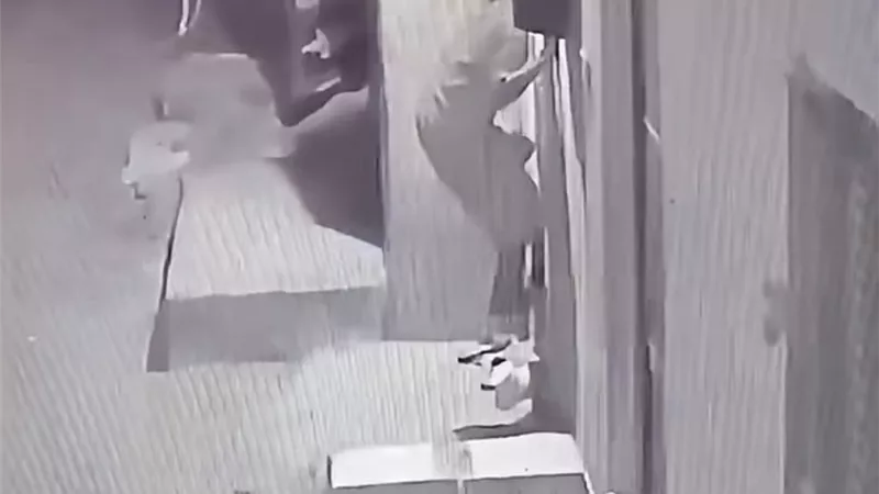 تفاصيل اتهام شاب بالتلصص على السيدات وارتكاب أفعال فاضحة بالشارع بالشرقية