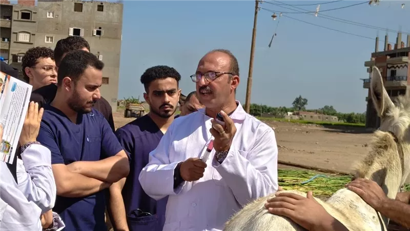 محافظ الدقهلية يتابع أعمال القافلة البيطرية الشاملة بقرية دموه مركز دكرنس